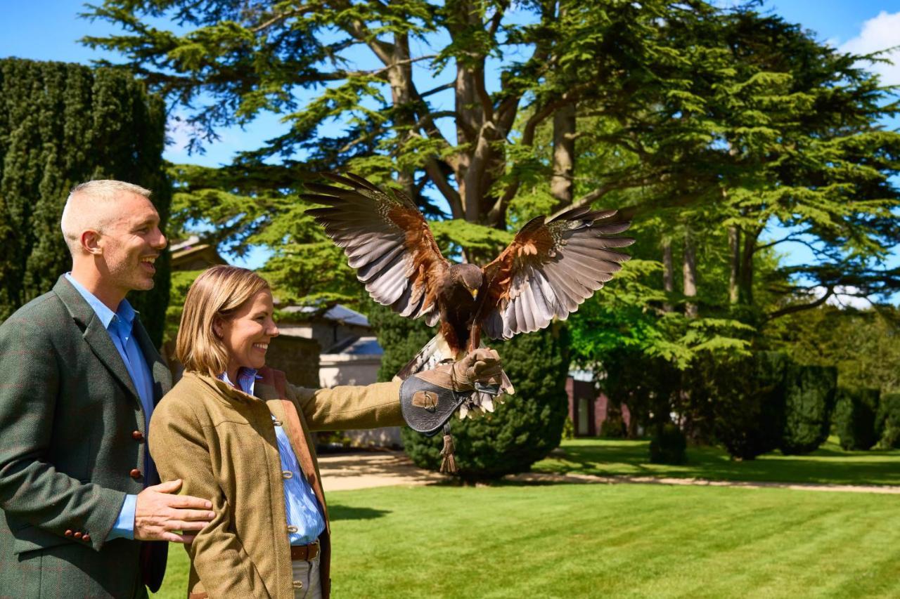 Carton House A Fairmont Managed Hotel Maynooth Εξωτερικό φωτογραφία Visitors at the Hawk Conservancy Trust
