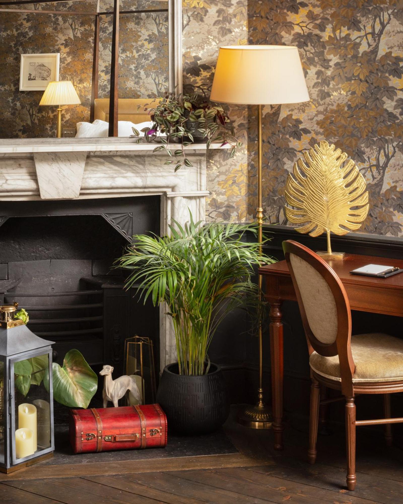 Carton House A Fairmont Managed Hotel Maynooth Εξωτερικό φωτογραφία A houseplant